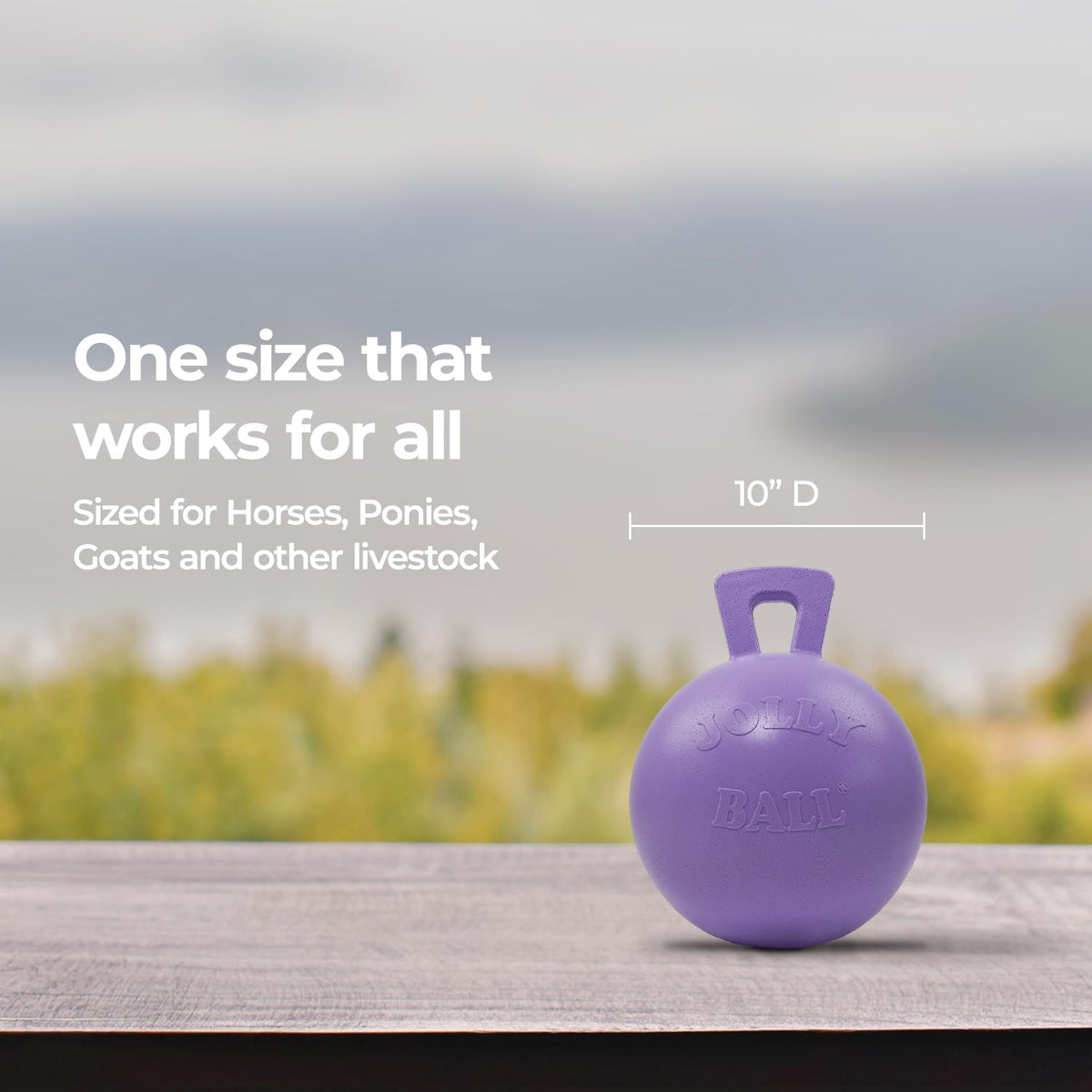 10 in Horse Toy Light Purple C67776