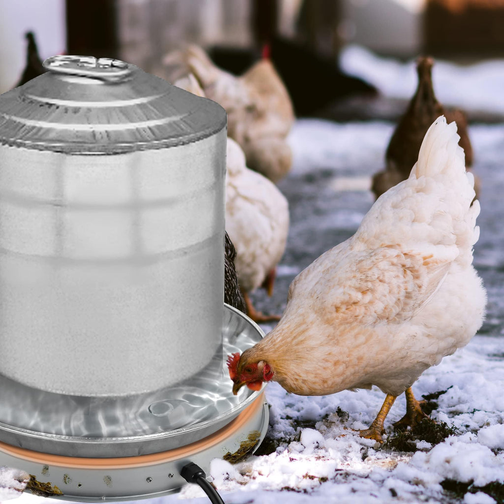 Heated Chicken Waterer 5 Gallon 125W Q8384