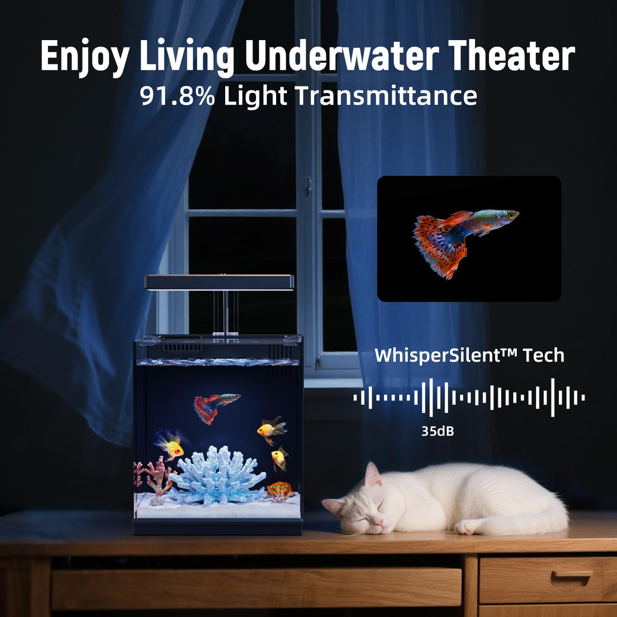 2 Gallon Betta Fish Tank with Filter & Light L6425