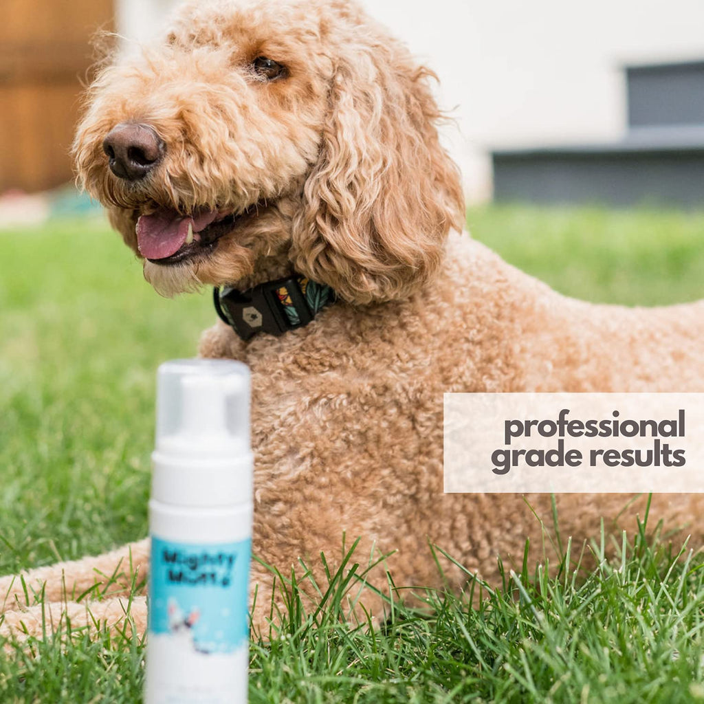 Hypoallergenic Waterless Dog Shampoo 8 fl oz Y115976