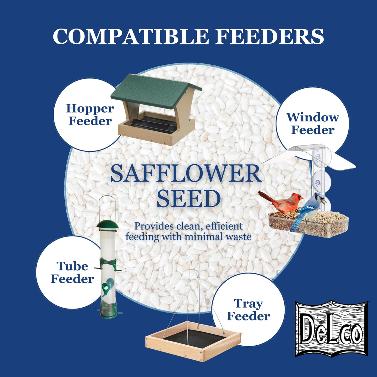 Safflower Wild Bird Seed 20 lb Bag B1592