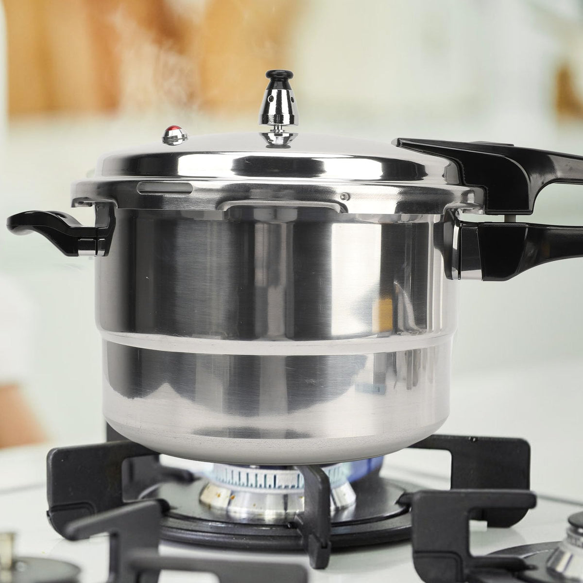Stainless Steel 3L Pressure Cooker F166877