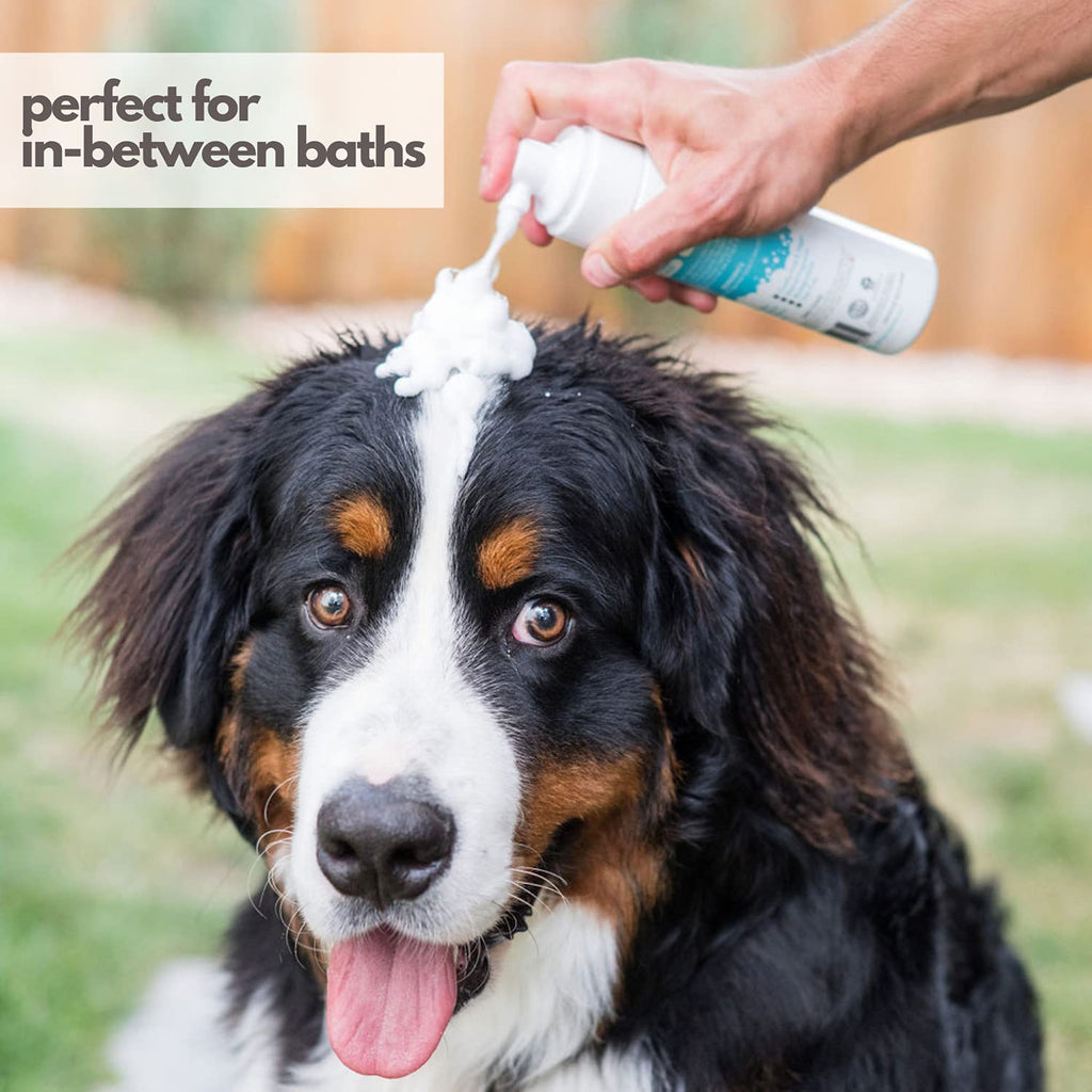 Hypoallergenic Waterless Dog Shampoo 8 fl oz Y115976