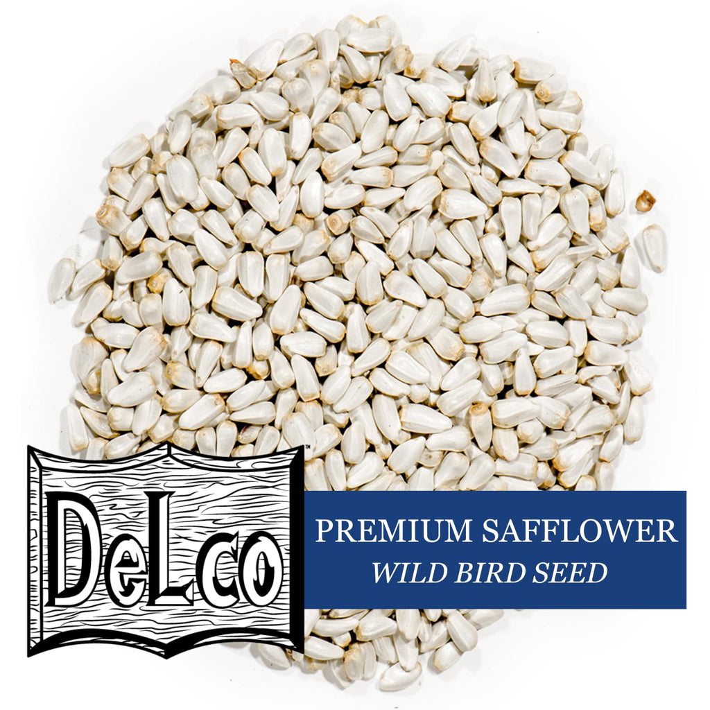 Safflower Wild Bird Seed 20 lb Bag B1592