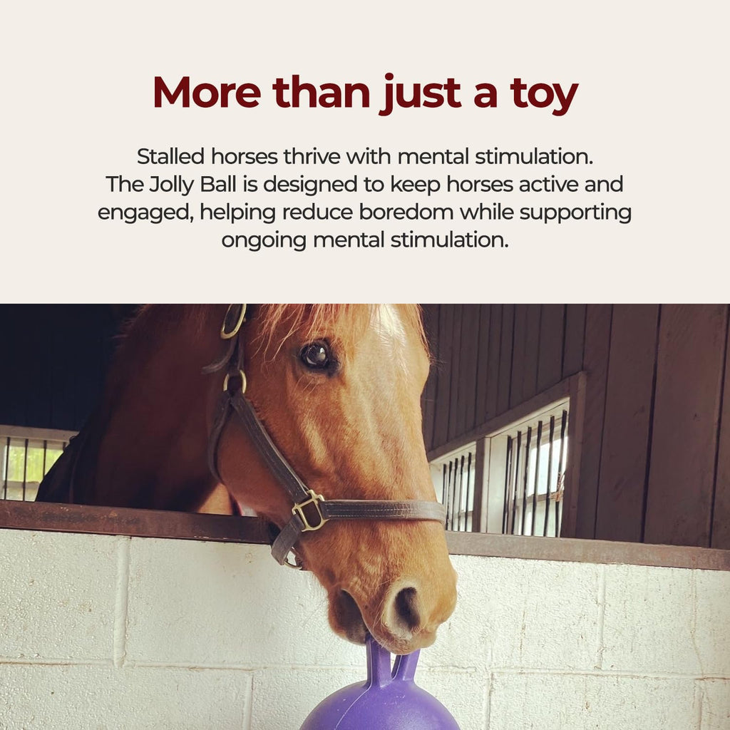 10 in Horse Toy Light Purple C67776