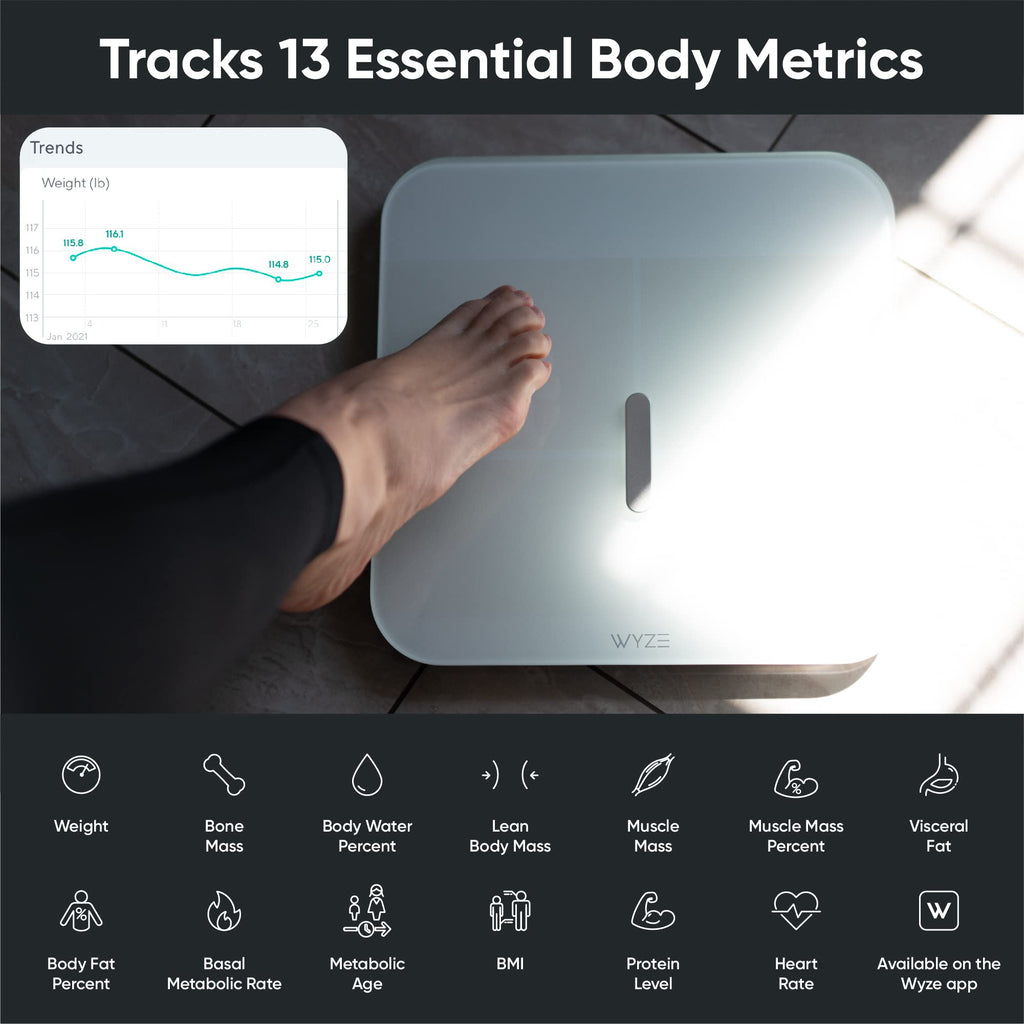 Smart Scale & 3 Pack Night Light I796380