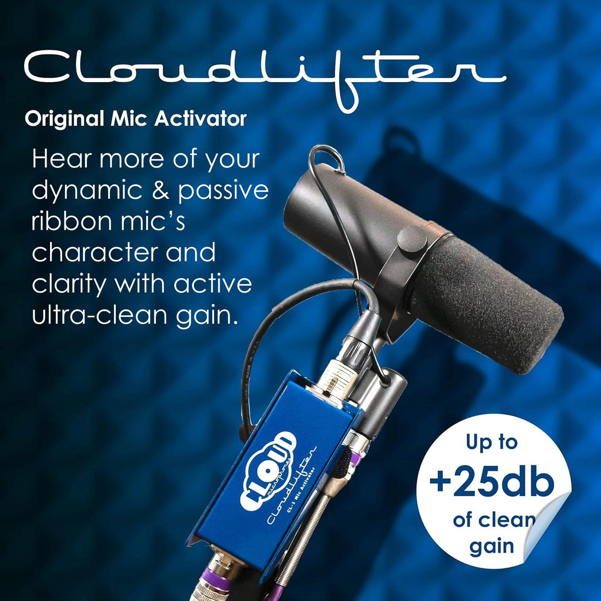 Microphones with XLR Cable Q967488
