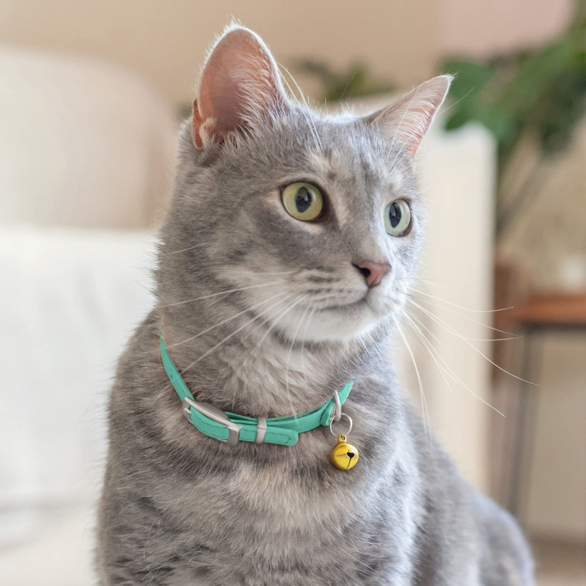 Soft Leather Cat Collar with Safety Elastic Strap K5384