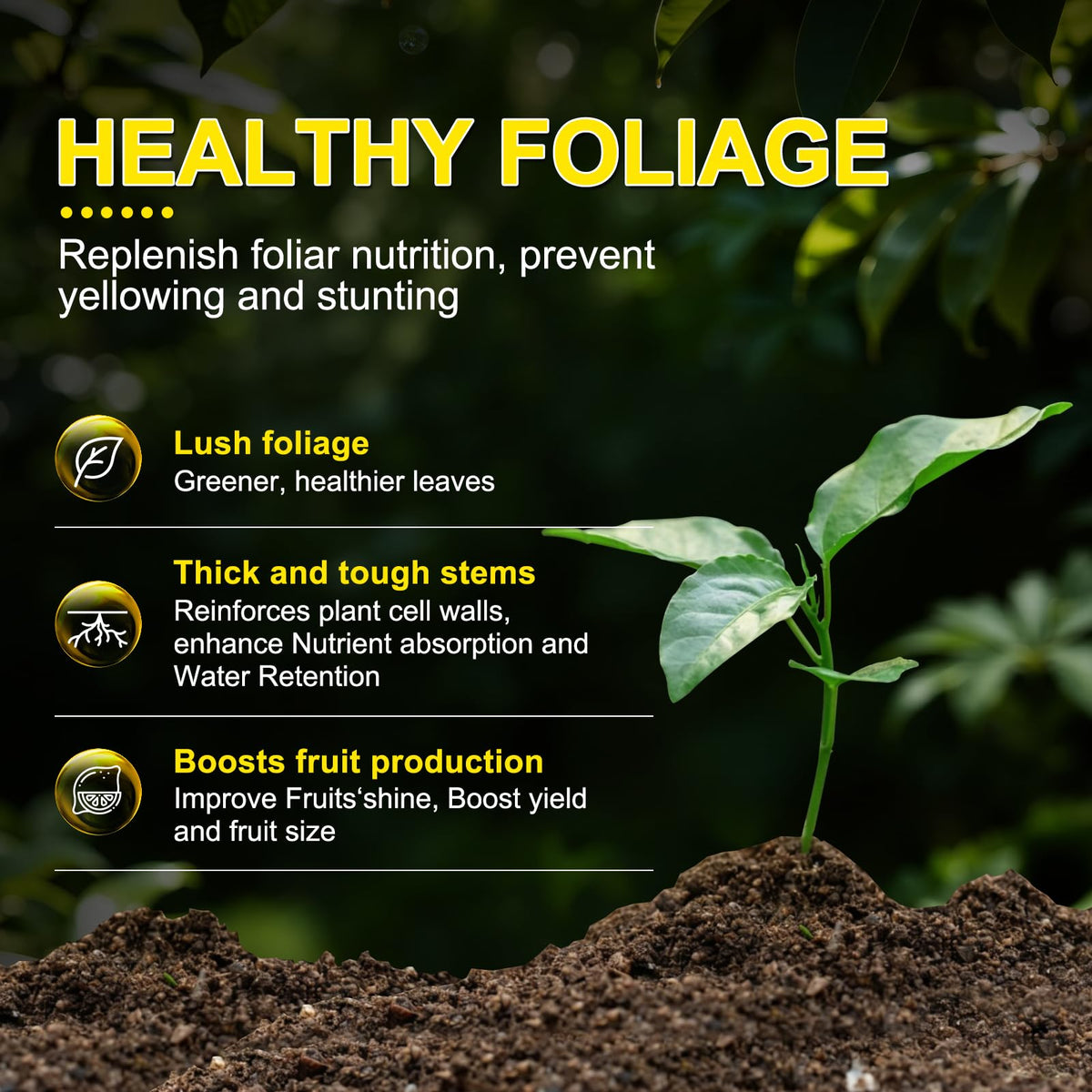 Liquid Fertilizer with Organic Micro-Nutrient M765