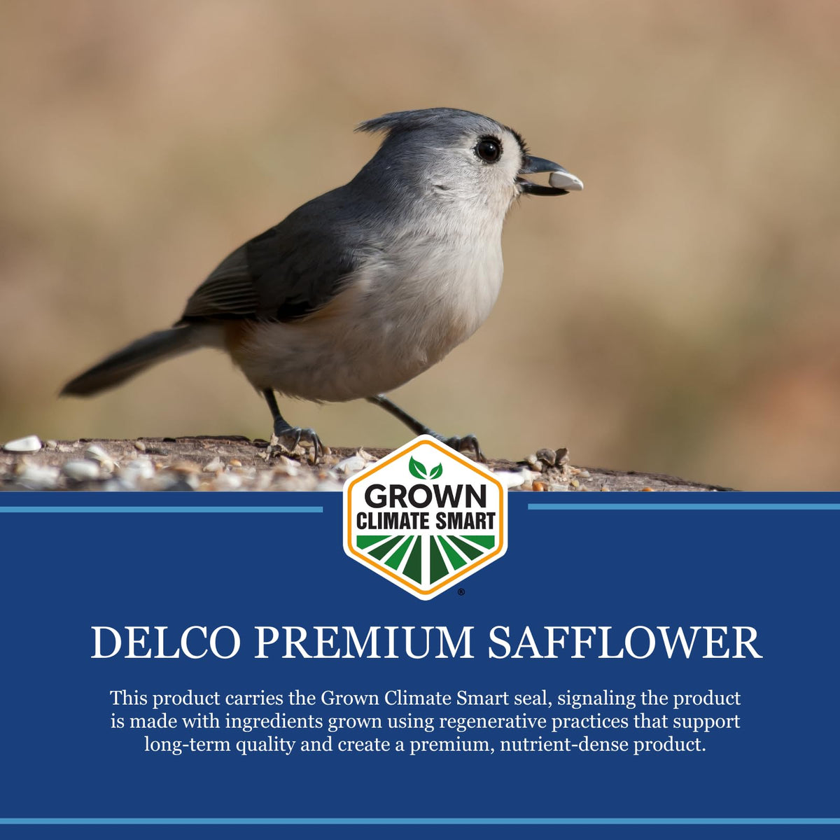 Safflower Wild Bird Seed 20 lb Bag B1592