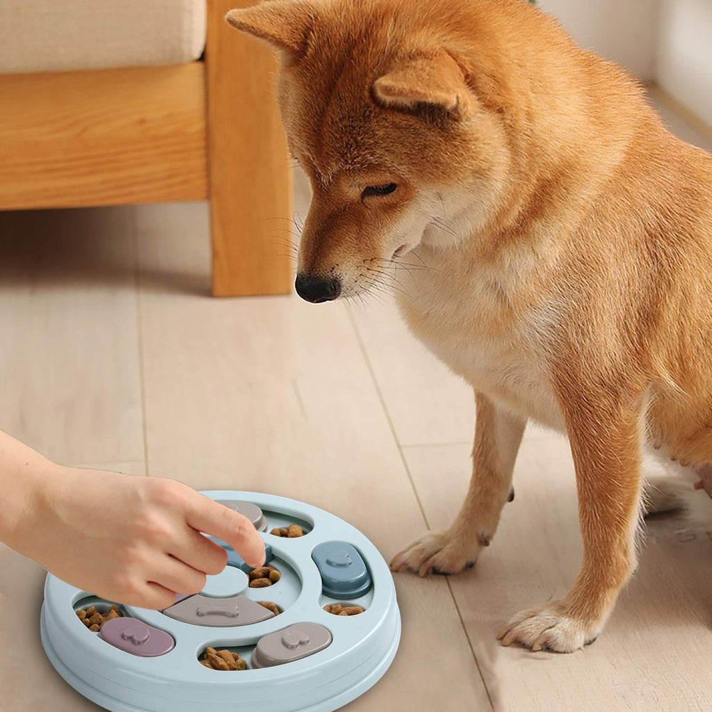 Dog Treat Puzzle C394985