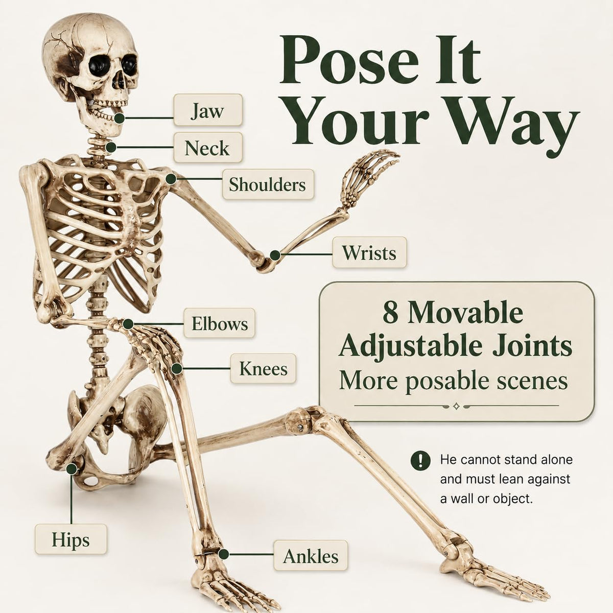 5.4 Ft Life Size Posable Skeleton J97026