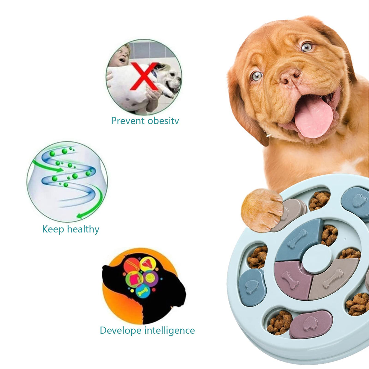 Dog Treat Puzzle C394985