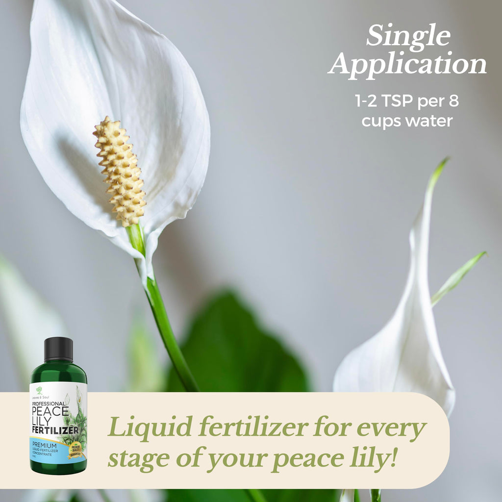 Liquid 3-1-2 Concentrate Fertilizer 8 oz H382