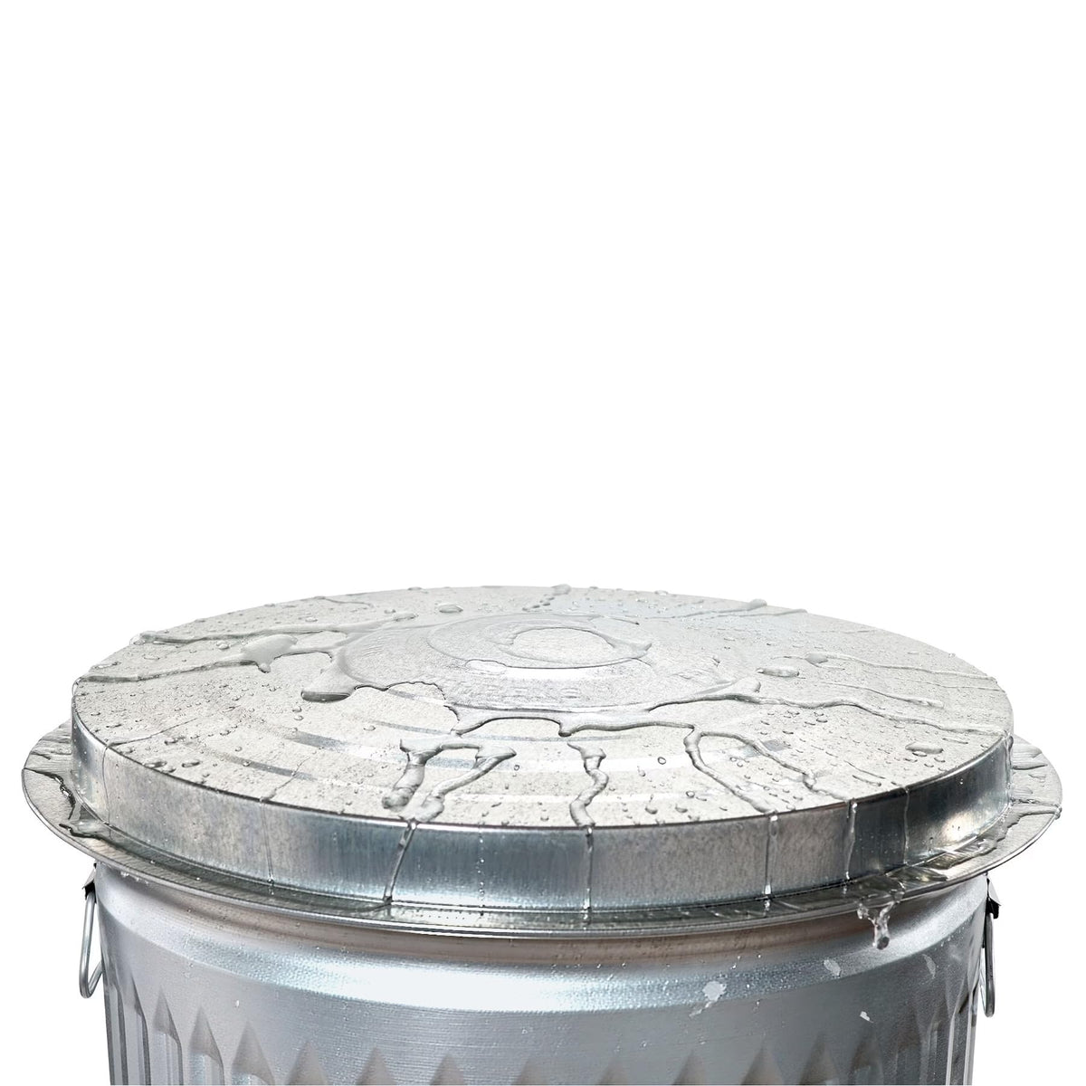 31 Gallon Galvanized Steel Storage Can with Lid U38599