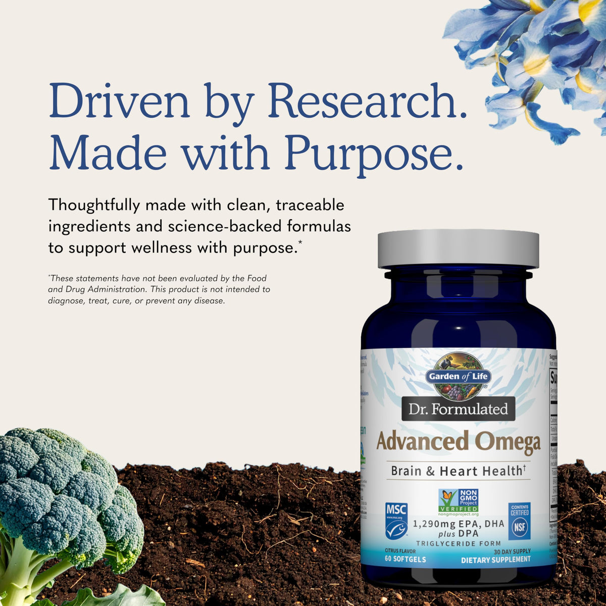 Omega 3 Fish Oil, 60 Softgels S496