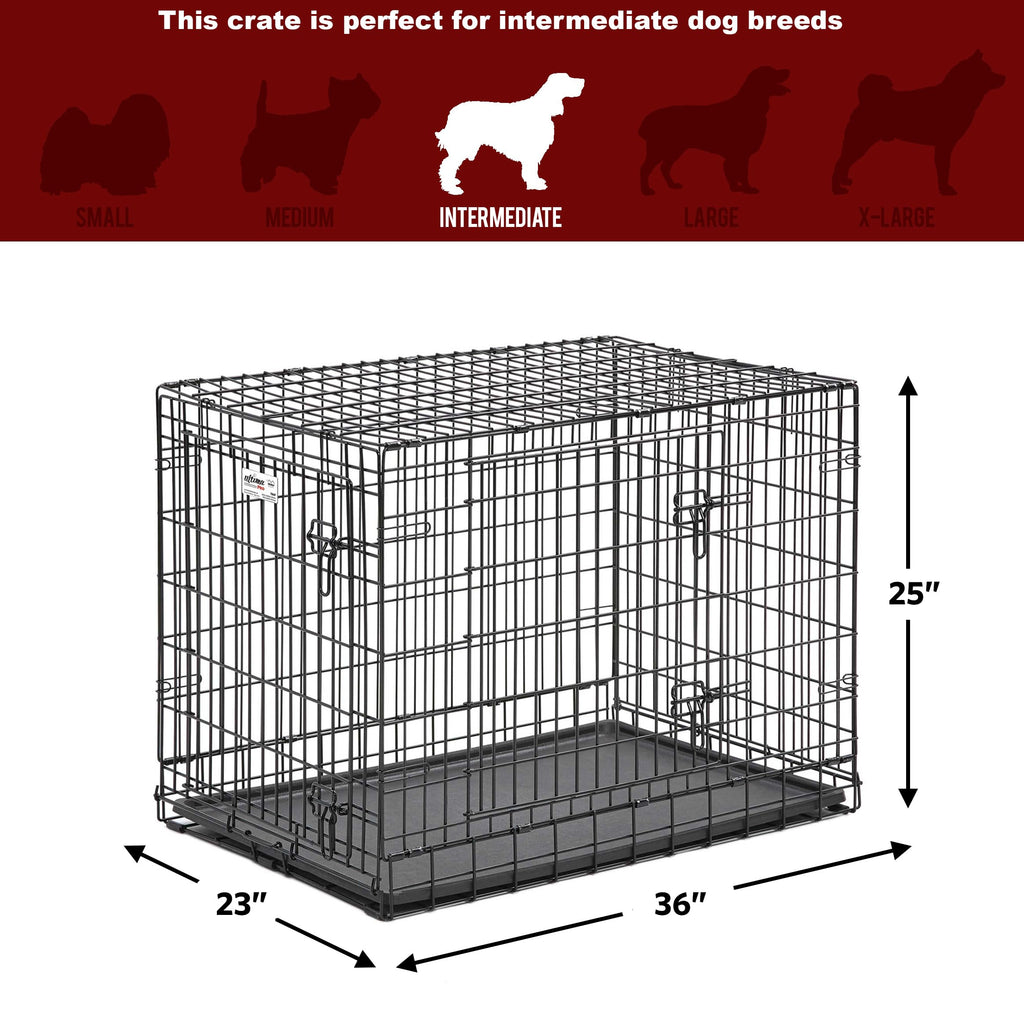 36-Inch Double Door Dog Crate W525836