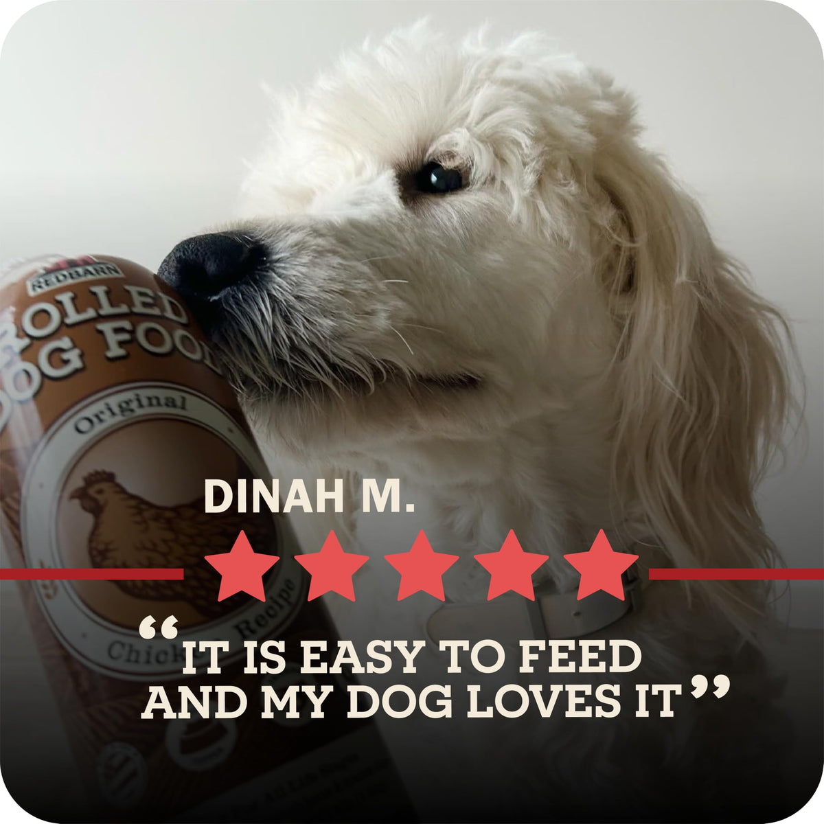 Grain Free Beef Dog Food 3 lb 10 Rolls Y330