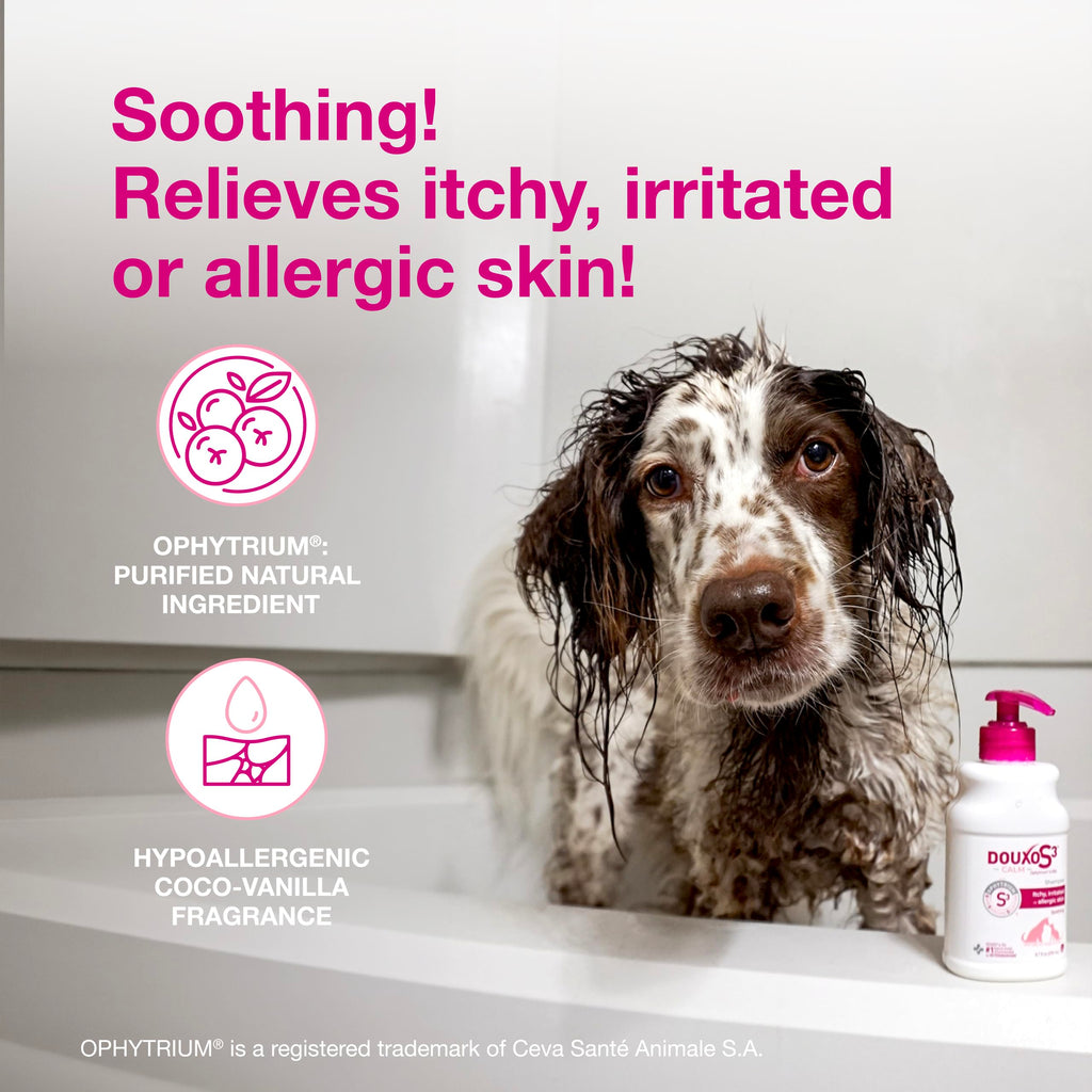 Dog Shampoo for Itchy Skin 6.7 fl oz H680357