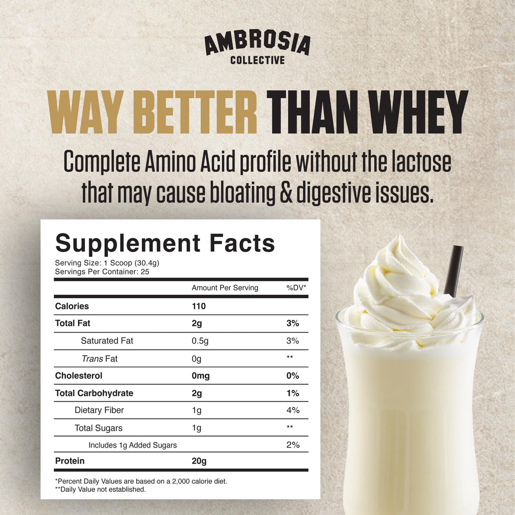 Plant Based Vegan Pea Protein Powder 20g Vanilla E860897