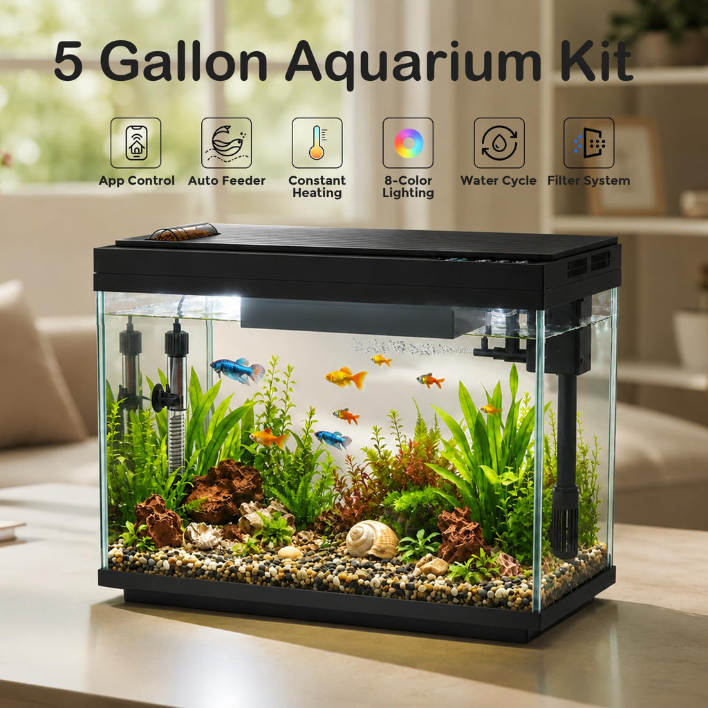 5 Gallon Aquarium Kit Ultra-White Glass P5186