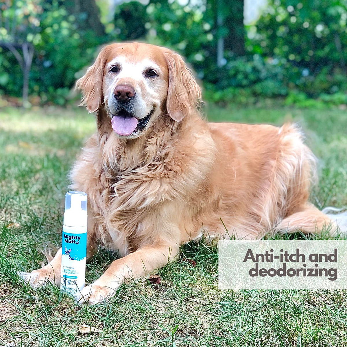 Hypoallergenic Waterless Dog Shampoo 8 fl oz Y115976
