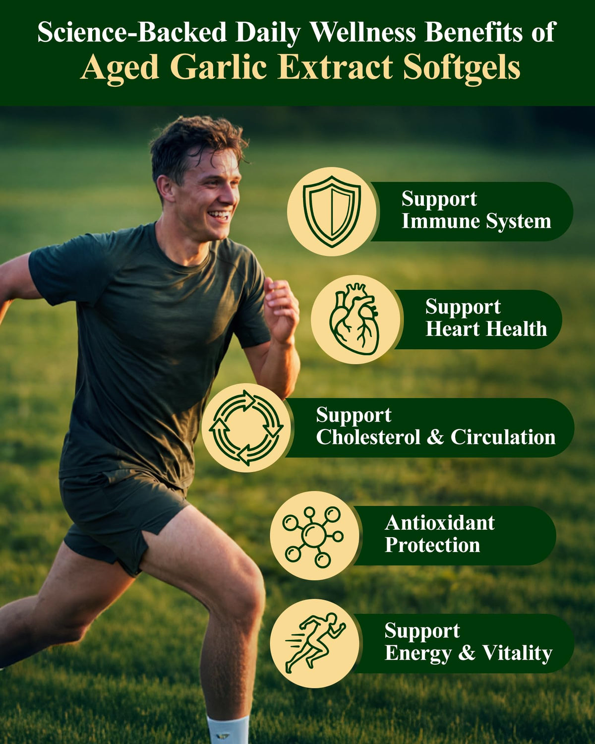 Odorless Garlic Supplement, 300 Softgels M897562