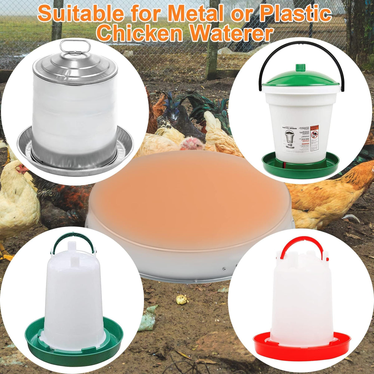 Heated Chicken Waterer 5 Gallon 125W Q8384