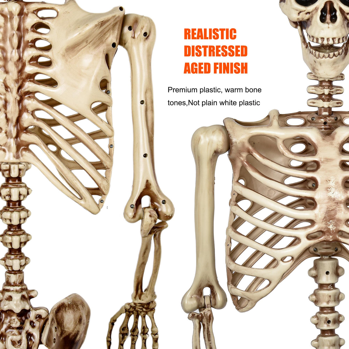 5.4 Ft Life Size Posable Skeleton J97026