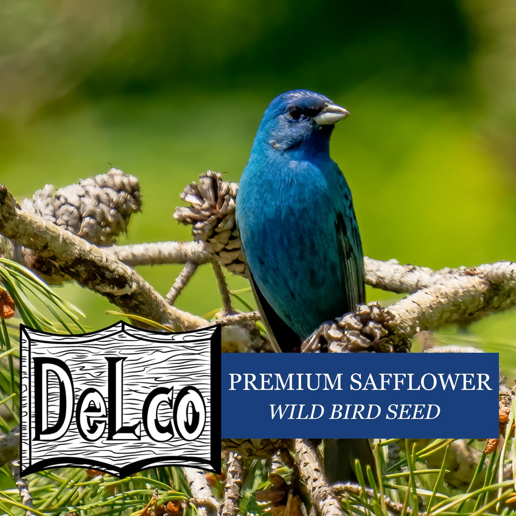 Safflower Wild Bird Seed 20 lb Bag B1592
