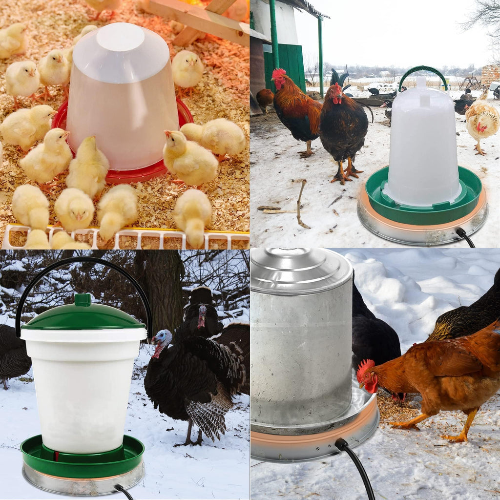 Heated Chicken Waterer 5 Gallon 125W Q8384