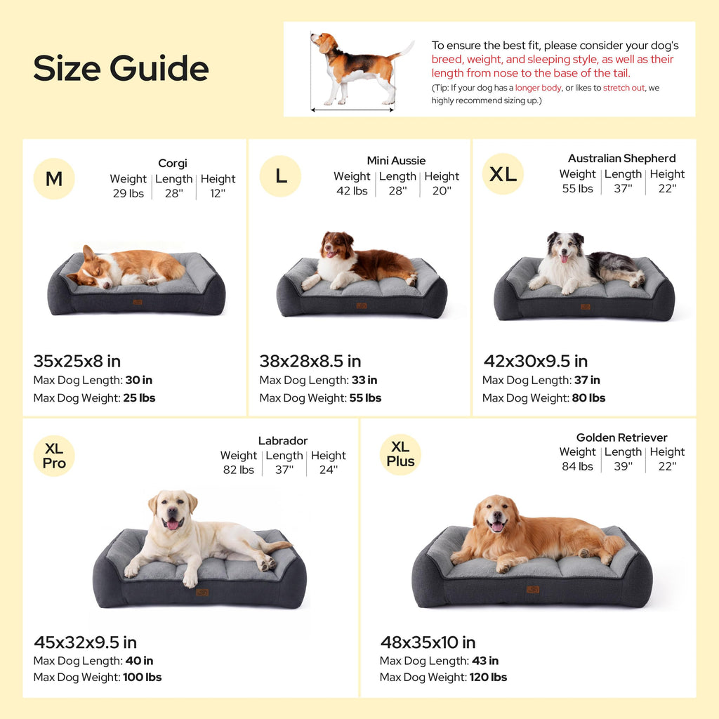 XL Orthopedic Dog Bed V13846