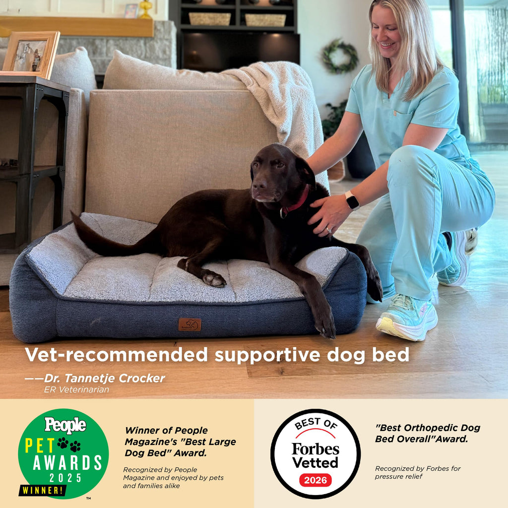 XL Orthopedic Dog Bed V13846