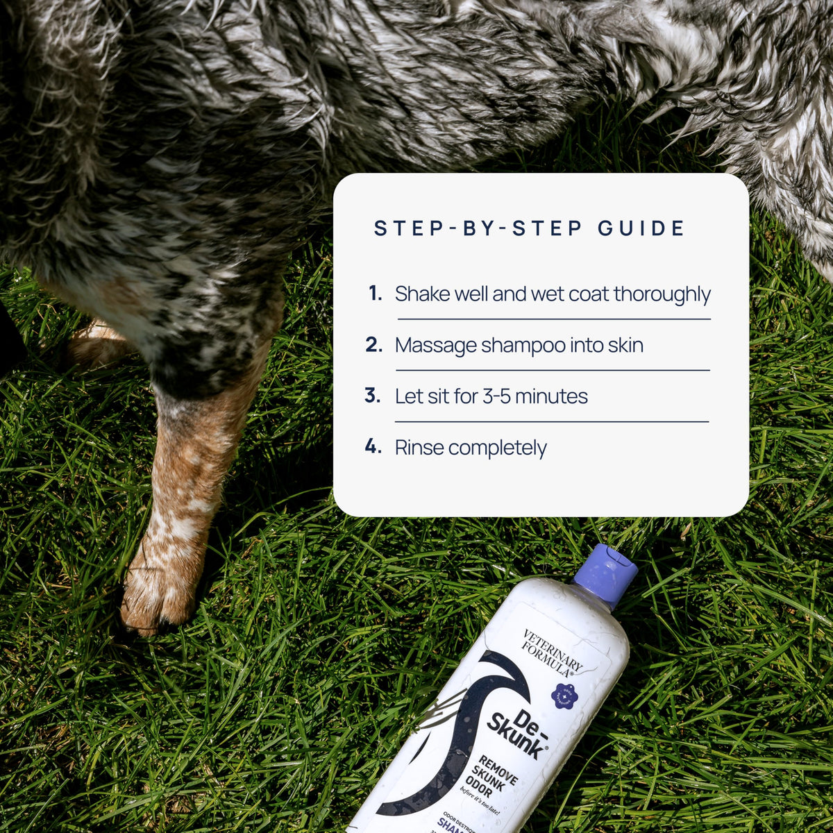 Dog Shampoo 32oz B672
