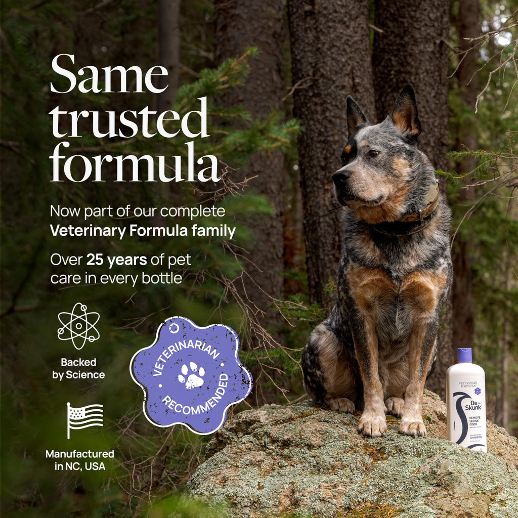 Dog Shampoo 32oz B672