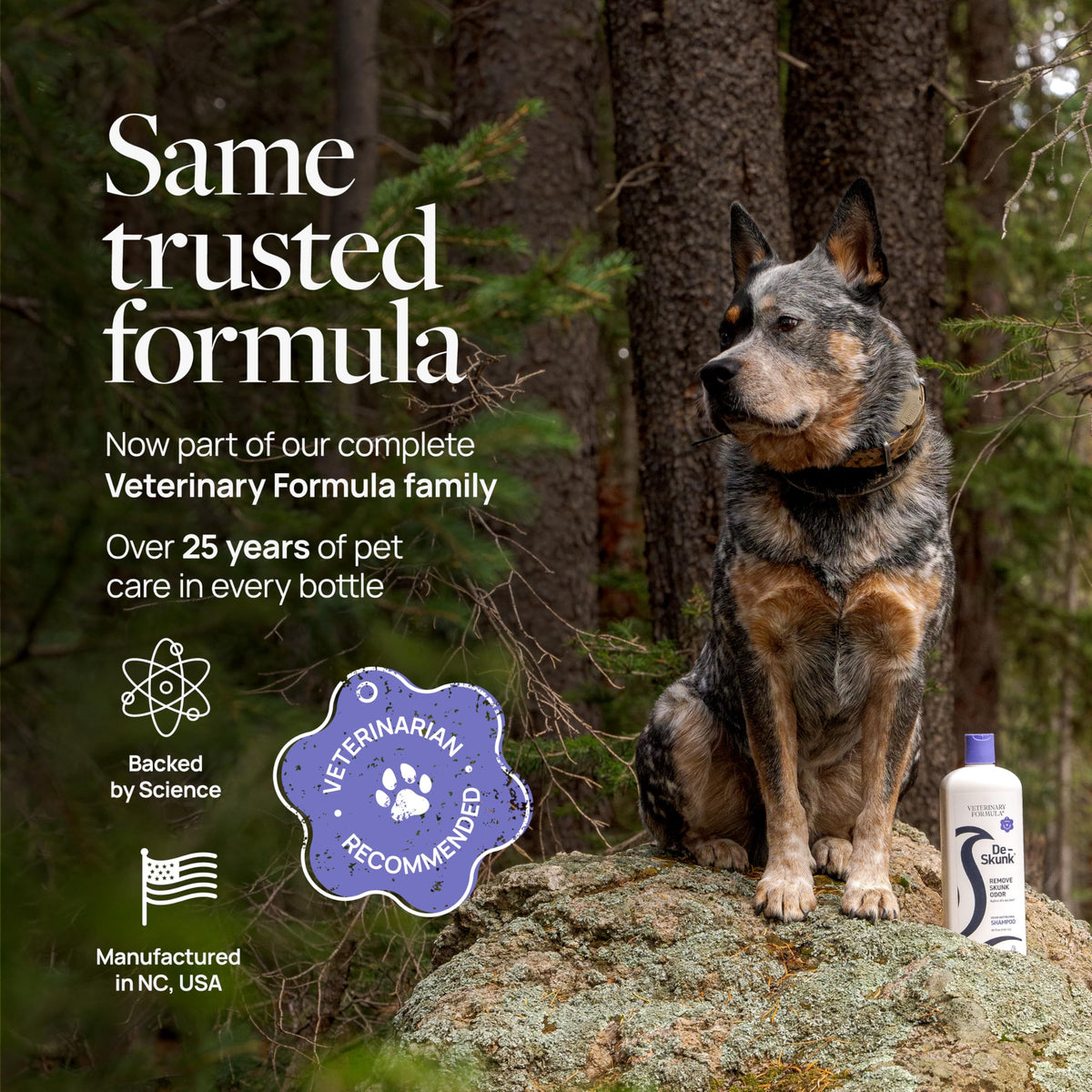 Dog Shampoo 32oz B672