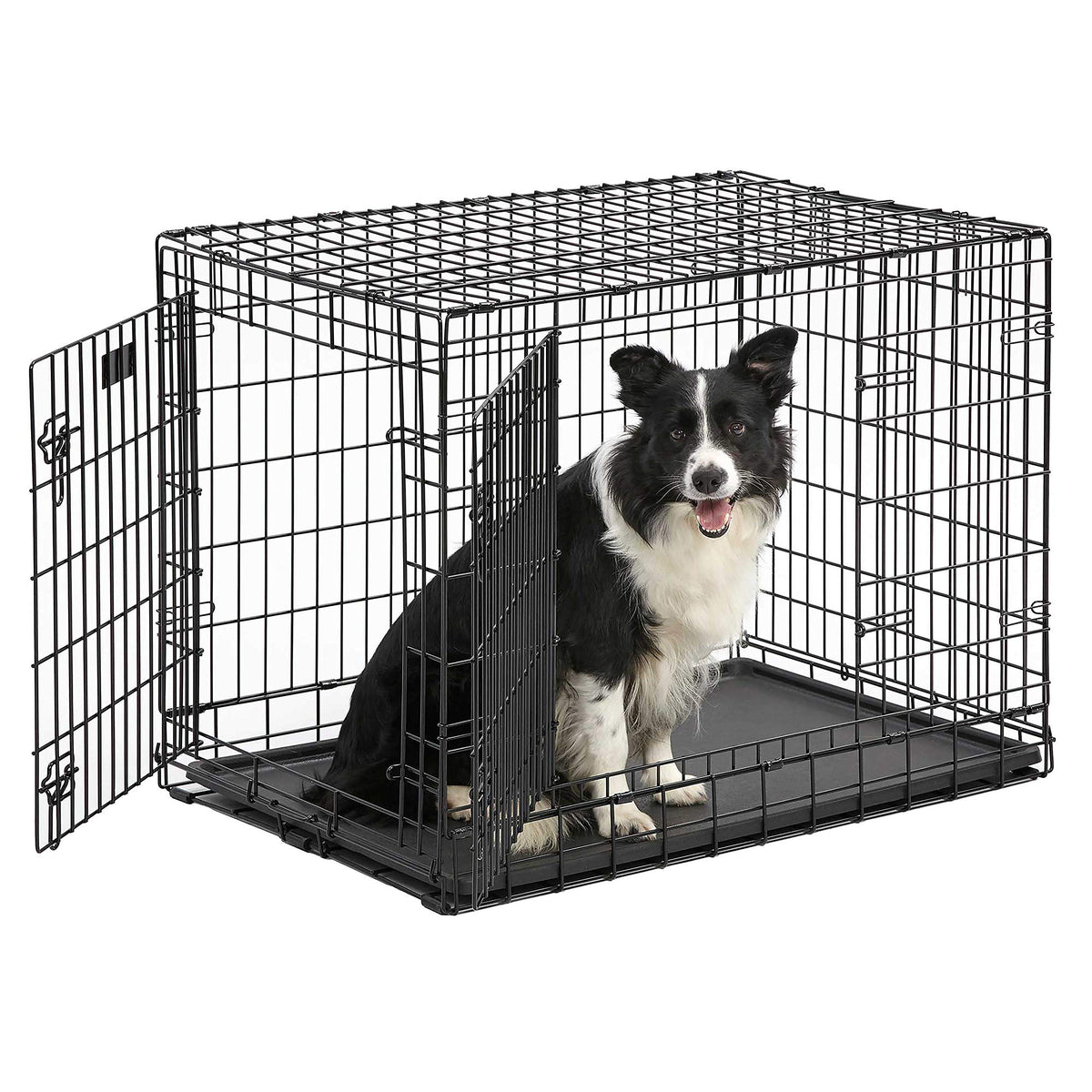 36-Inch Double Door Dog Crate W525836