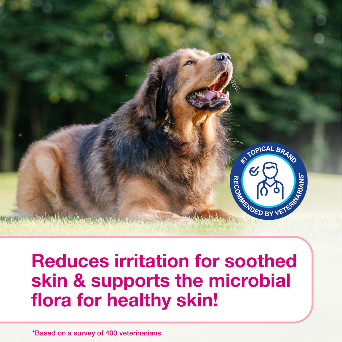 Dog Shampoo for Itchy Skin 6.7 fl oz H680357