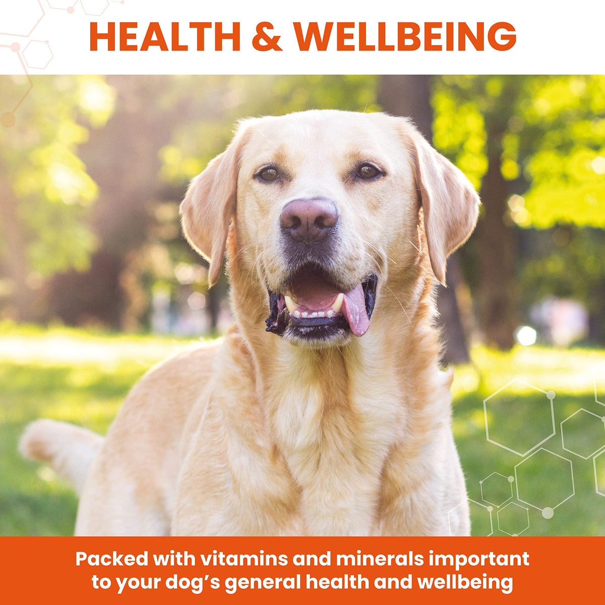 Dog Conditioner 30 Tablets J49334