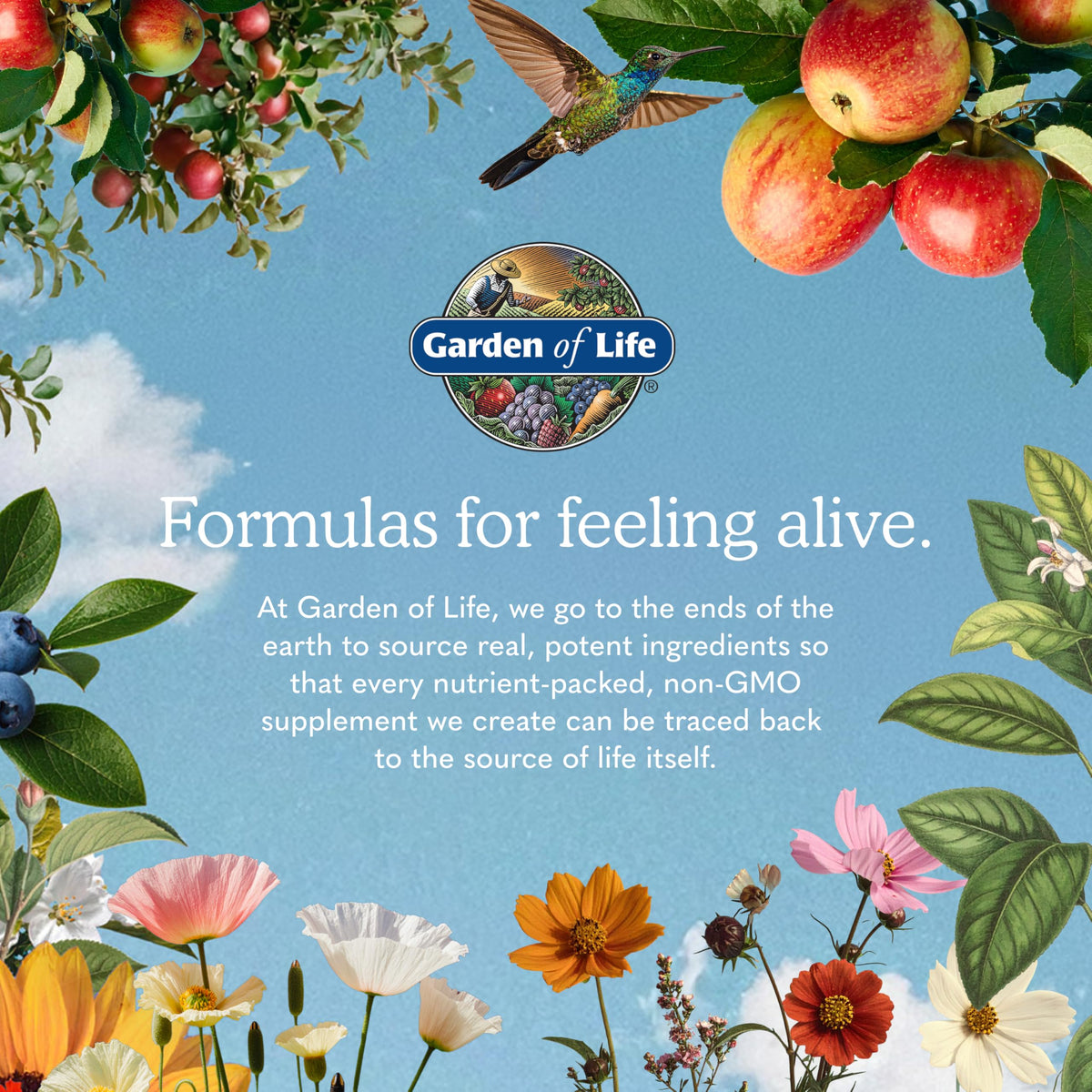 Omega 3 Fish Oil, 60 Softgels S496